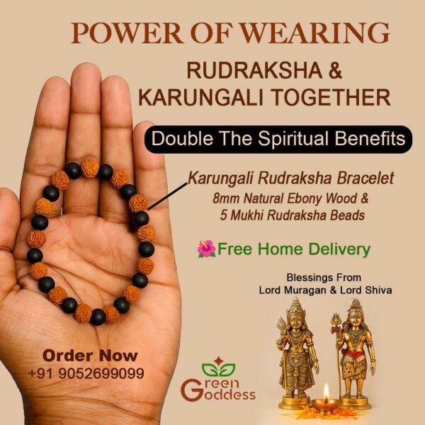 Karungali Rudraksha Bracelet